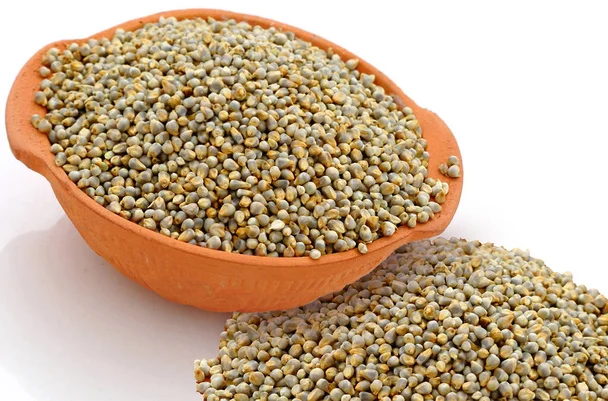 Green millet for animal feed  available from India for export