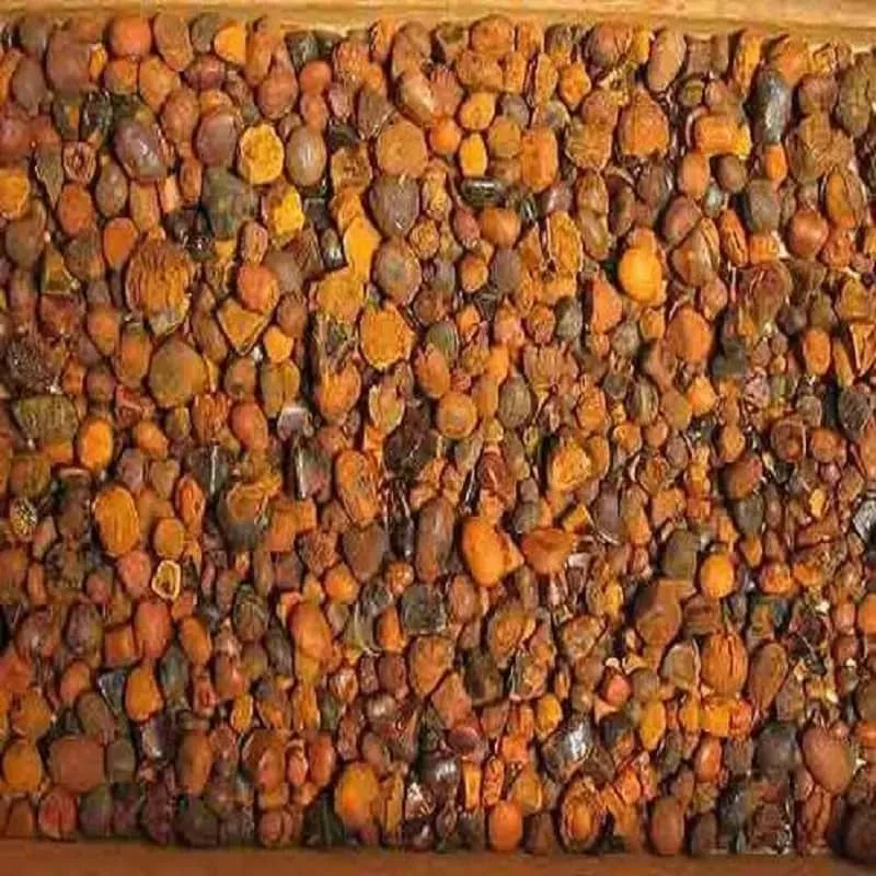 Whole Gallstones / Natural Ox Gallstones / Cow Bezoar for sale to China
