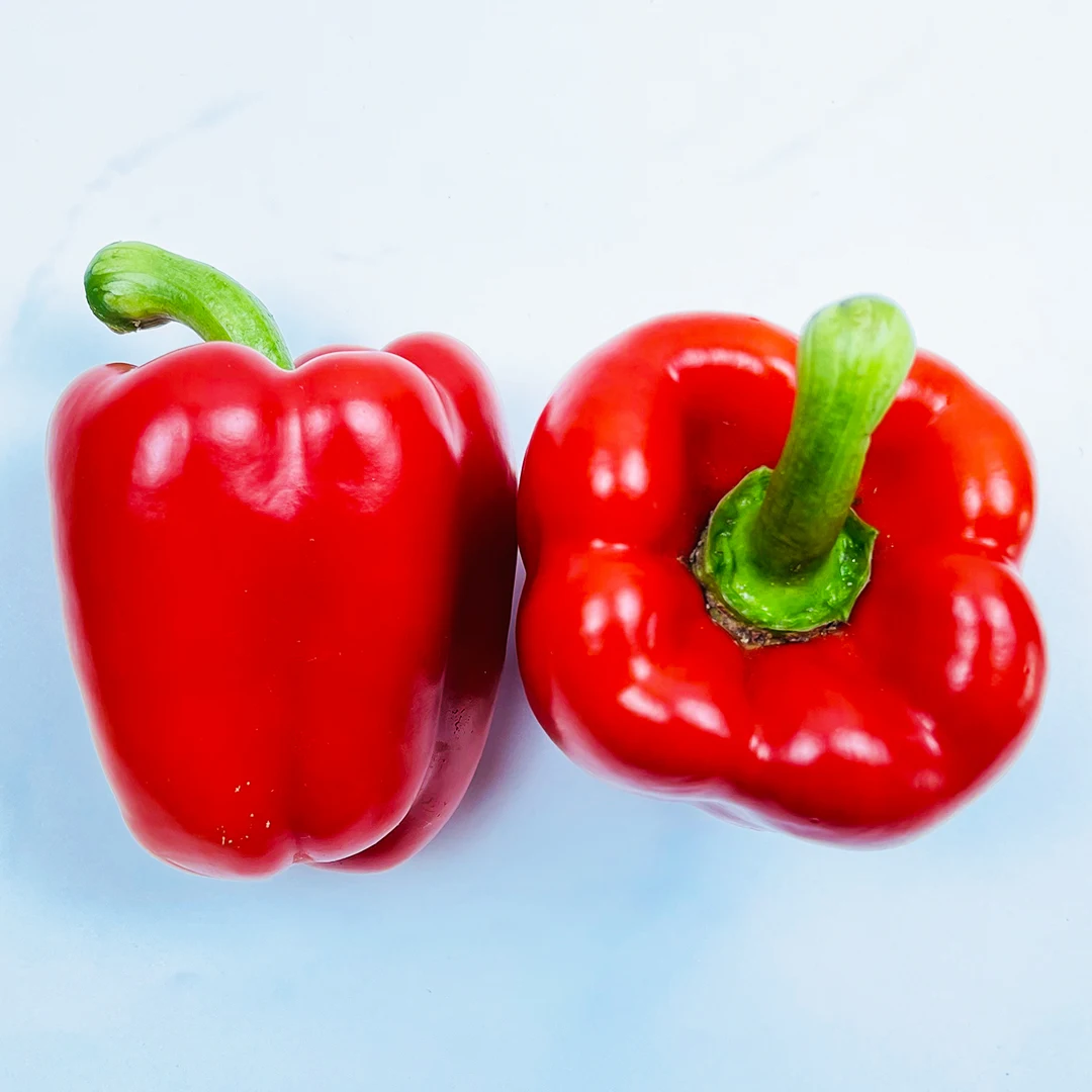 Quality Grade 100% Fresh & Natural Color Capsicum Fresh Exotic Vegetables Bell Peppers from Vietnam