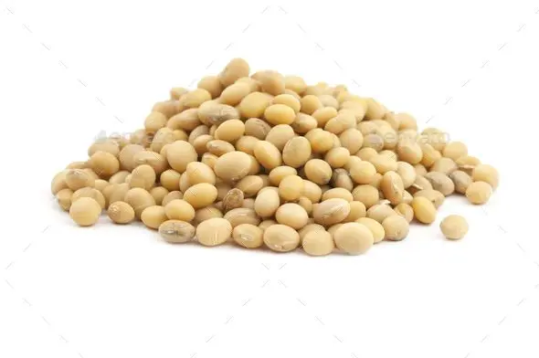 High Quality Non GMO Soybean Largest Stock And Supply Worldwide For The Best Market Rates From Bangladesh