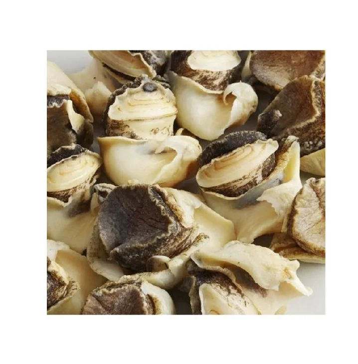 «Получите Замороженные раковины из морепродуктов в продаже: вкусные и свежие моллюски, идеально подходящие для ваших рецептов по низкой цене сегодня»