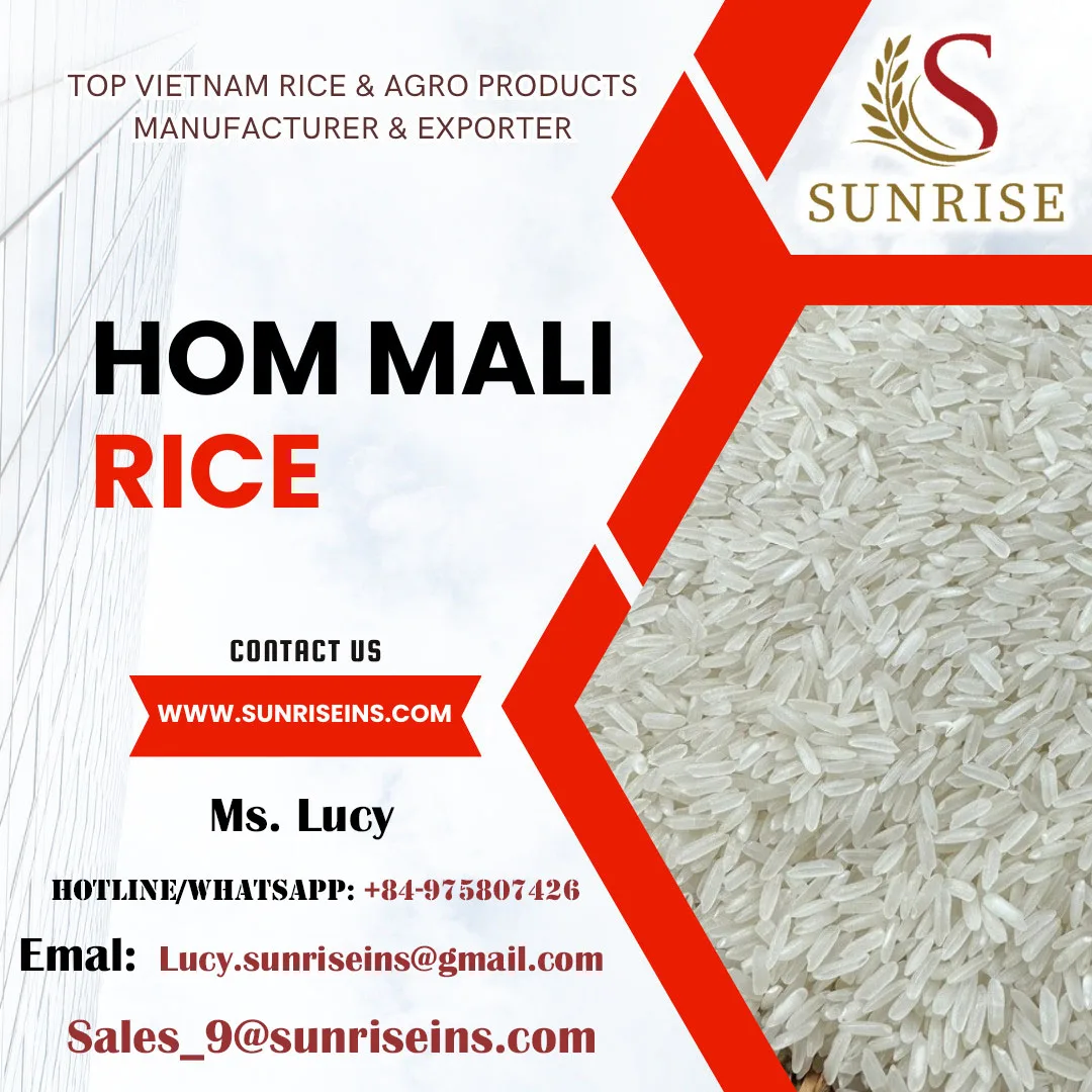 Hom Mali Medium Rice Camolino Rice 100% Clean Rice Most Competitive Factory Price / Mr. Vitaliy +84-933883931