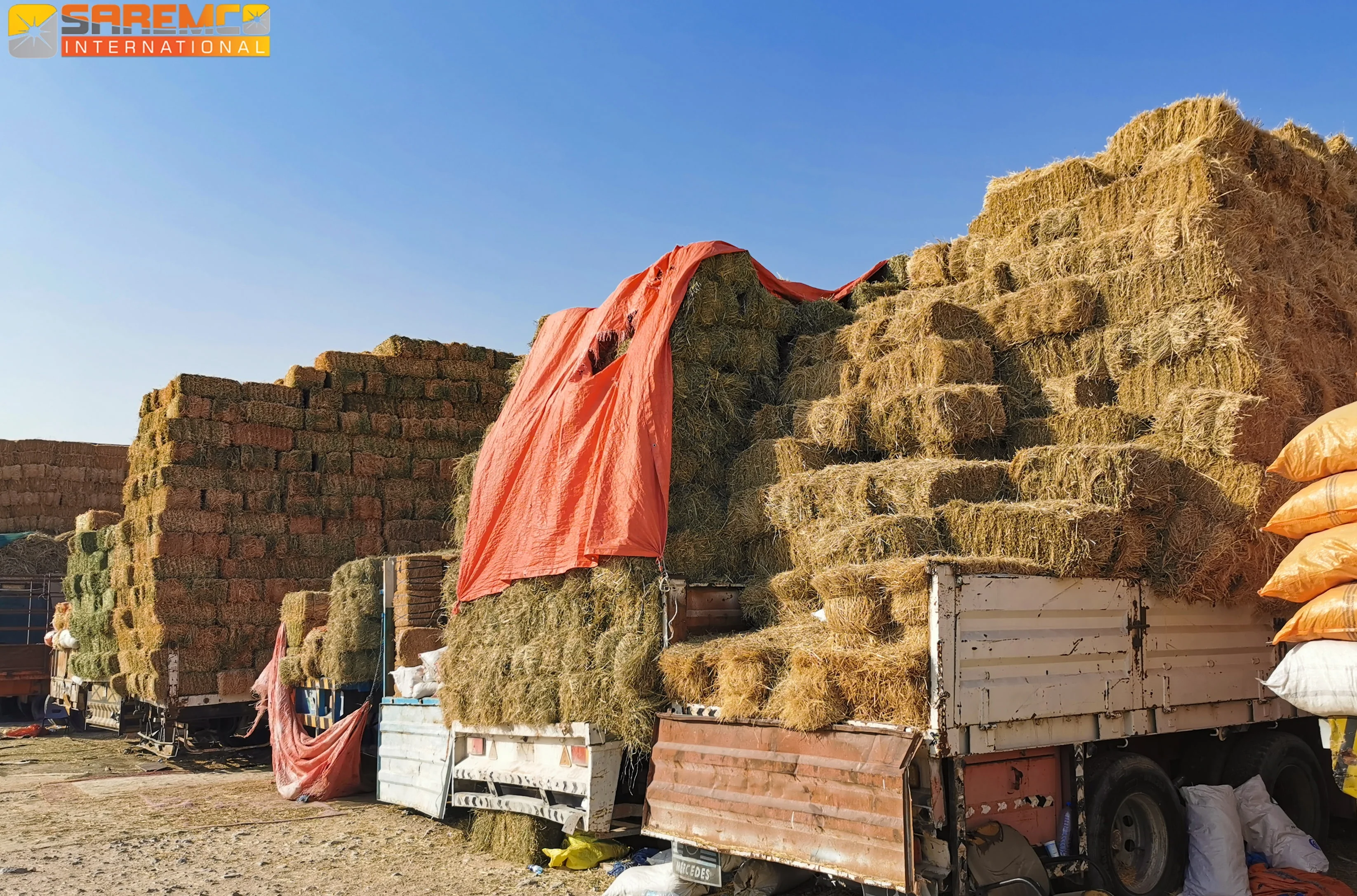 Zero Waste Natural Rice Straw From Pakistan/ High Quality Rice Straw/Animal Feeding Rice Straw Hay Bales for Qatar