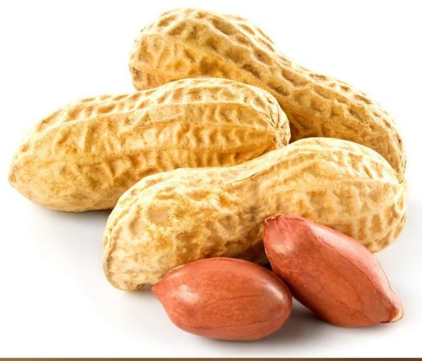 BEST SUPPLIER NATURAL PEANUT OIL FRIED COOK CONVENIENT BOTTLING IN VIET NAM NO MIXING