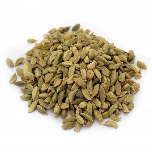 High Quality Green Cardamom Seasonings Spices for Good Flour Available at Wholesale Price from Indian Supplier Green Cardamom