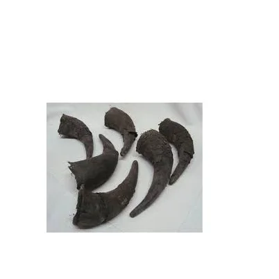 Жевательный рог для собак буйвола Лидер продаж натуральный корм и Рог ручной работы водяной жевать