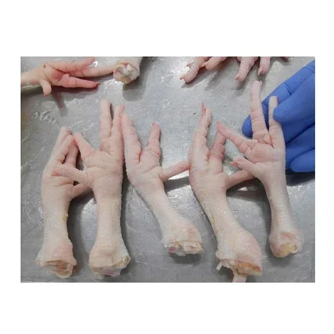 Quality chicken leg Wholesale Prices Fresh Frozen Halal Frozen Chicken Feet/Paws for Sale