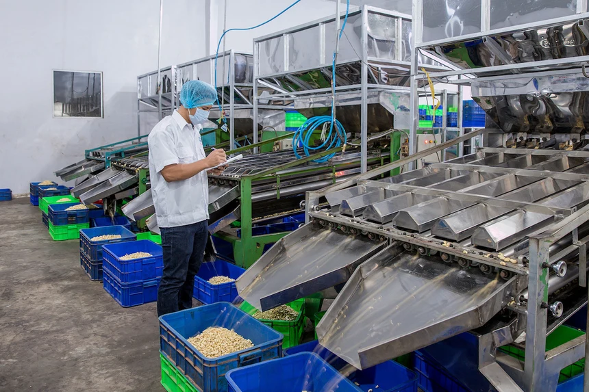 10KGS BAG OF CASHEW NUT WW180, 210, 240 320, 450 / Premium Cashew For EU & US markets