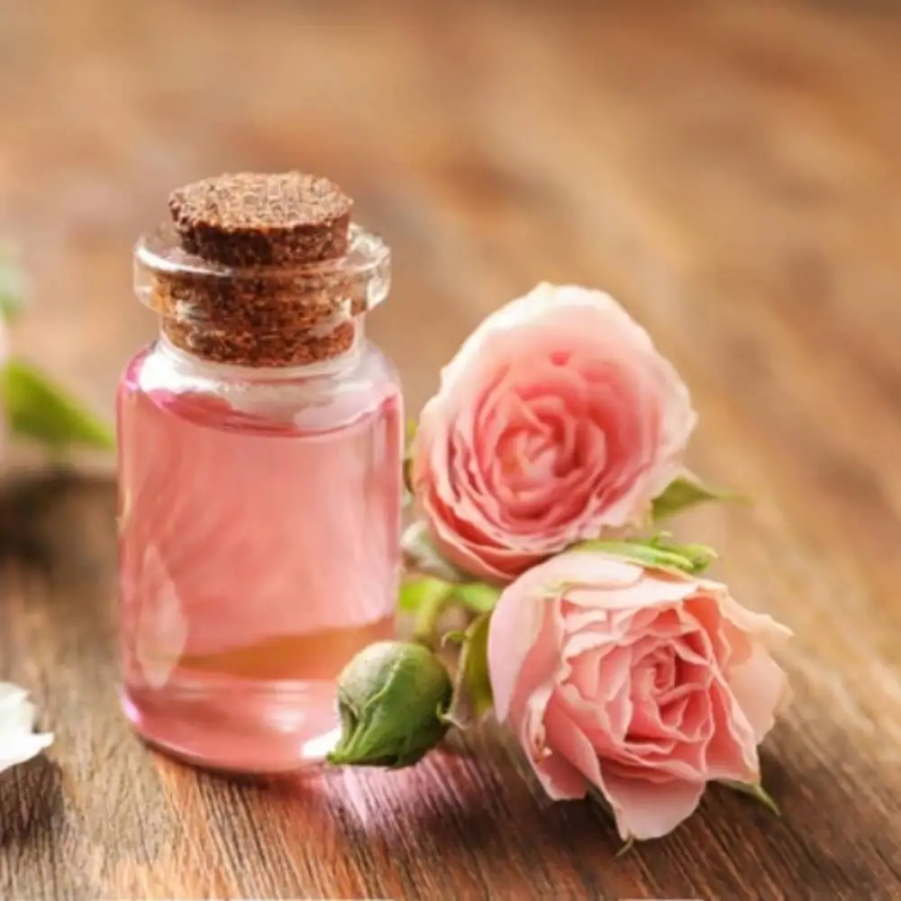 Pure and Natural Rose Essential Oil  Wholesale Buyers Low Price Rose Oil  Skincare Steam Distilled Rose oil
