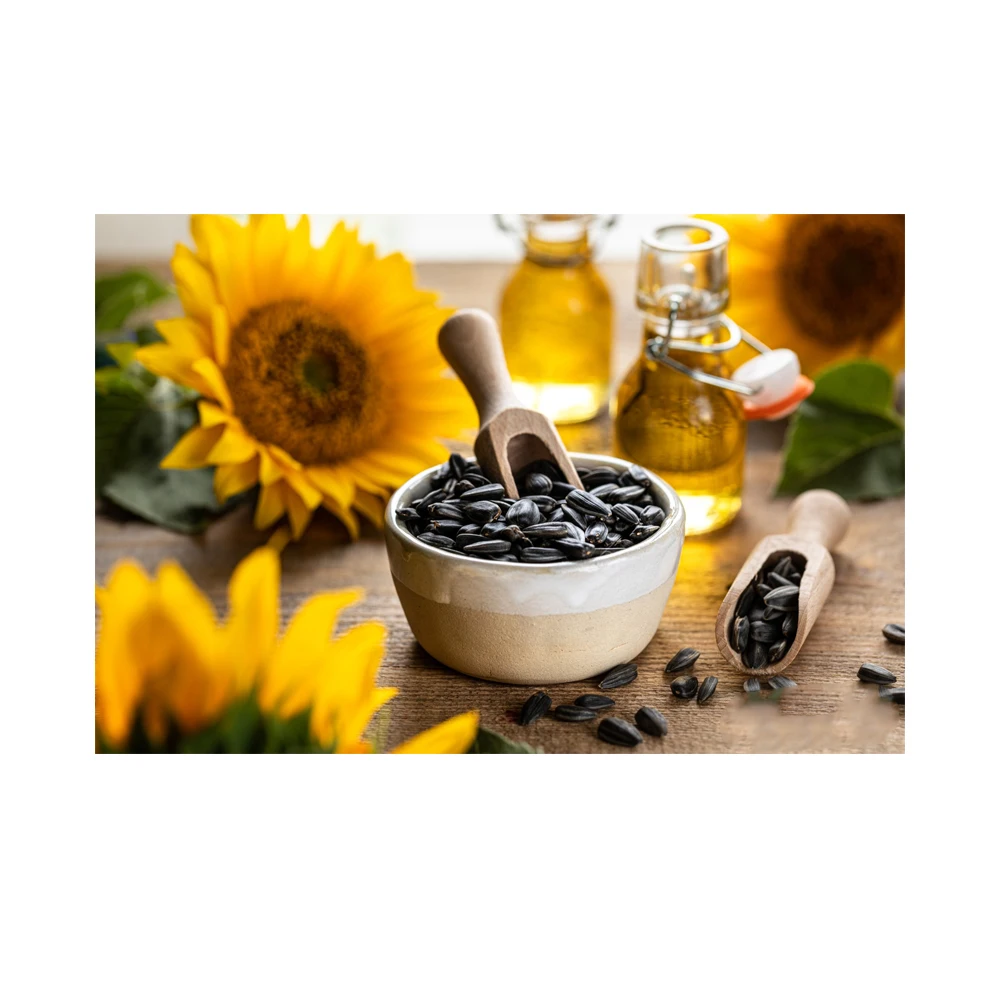 Wholesale Sunflower Seeds High Quality Organic Bulk Large Sunflower Seeds & meal Kernels