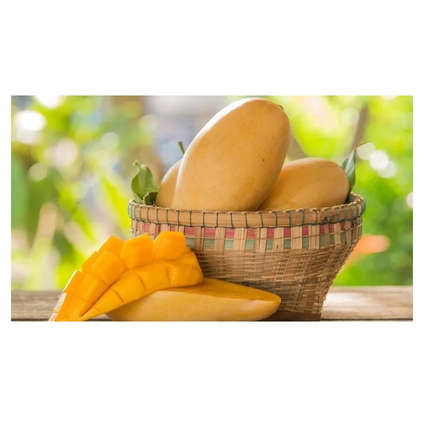 Top Selling Pakistani Fresh Mangoes at Cheap Price