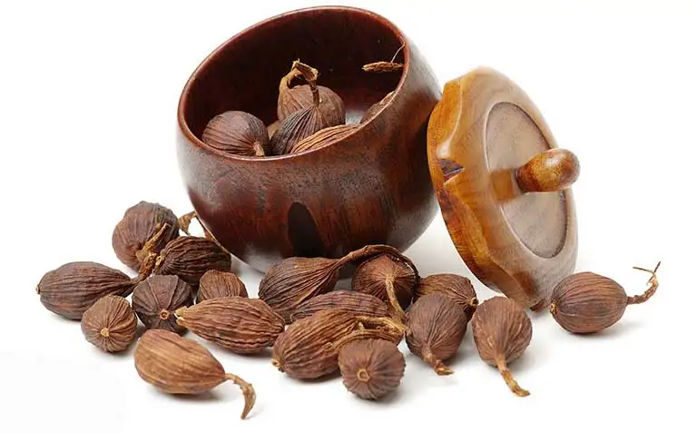 100% High Quality Herbs and Spices Food Ingredient Vietnamese Cardamom Ready To Ship