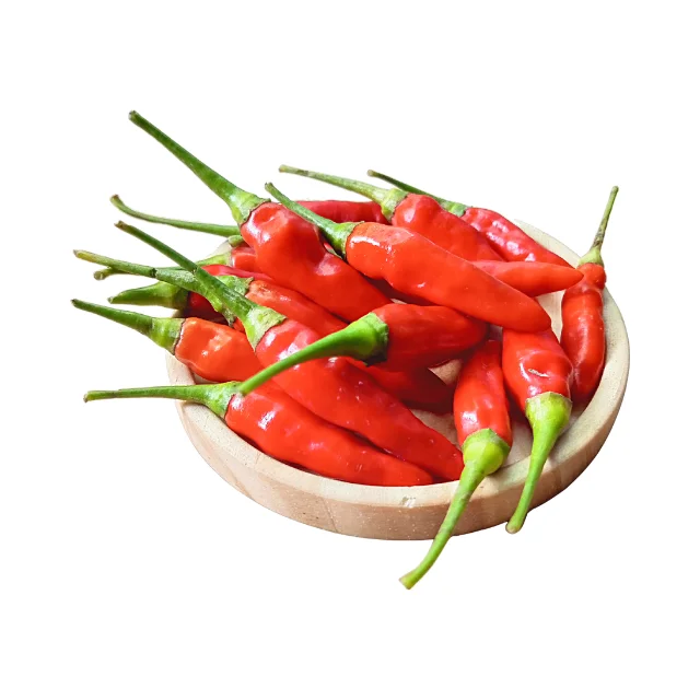 High Quality Frozen Red Chili from Vietnam Reasonable Price for Importer and Buyer Freshly Processed Whole Chili