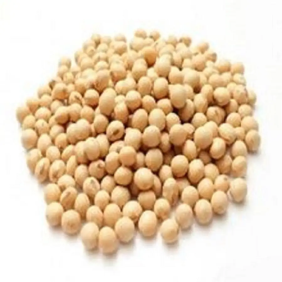 Best Premium Quality GMO Soyabean Beans for Animal Feedings Cheap Price