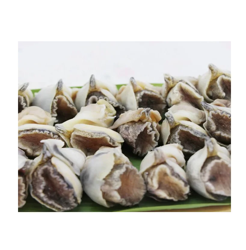Frozen Conch Meat, Seafood, Sashimi Grade