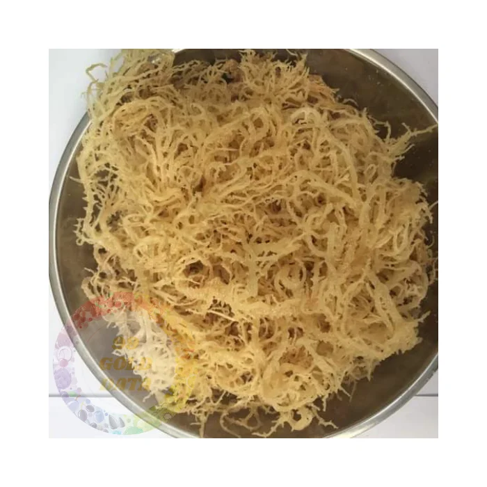 Organic Cottonii Seaweed HighQuality and Nutritious Perfect for Health and Culinary Uses Bulk Cheap