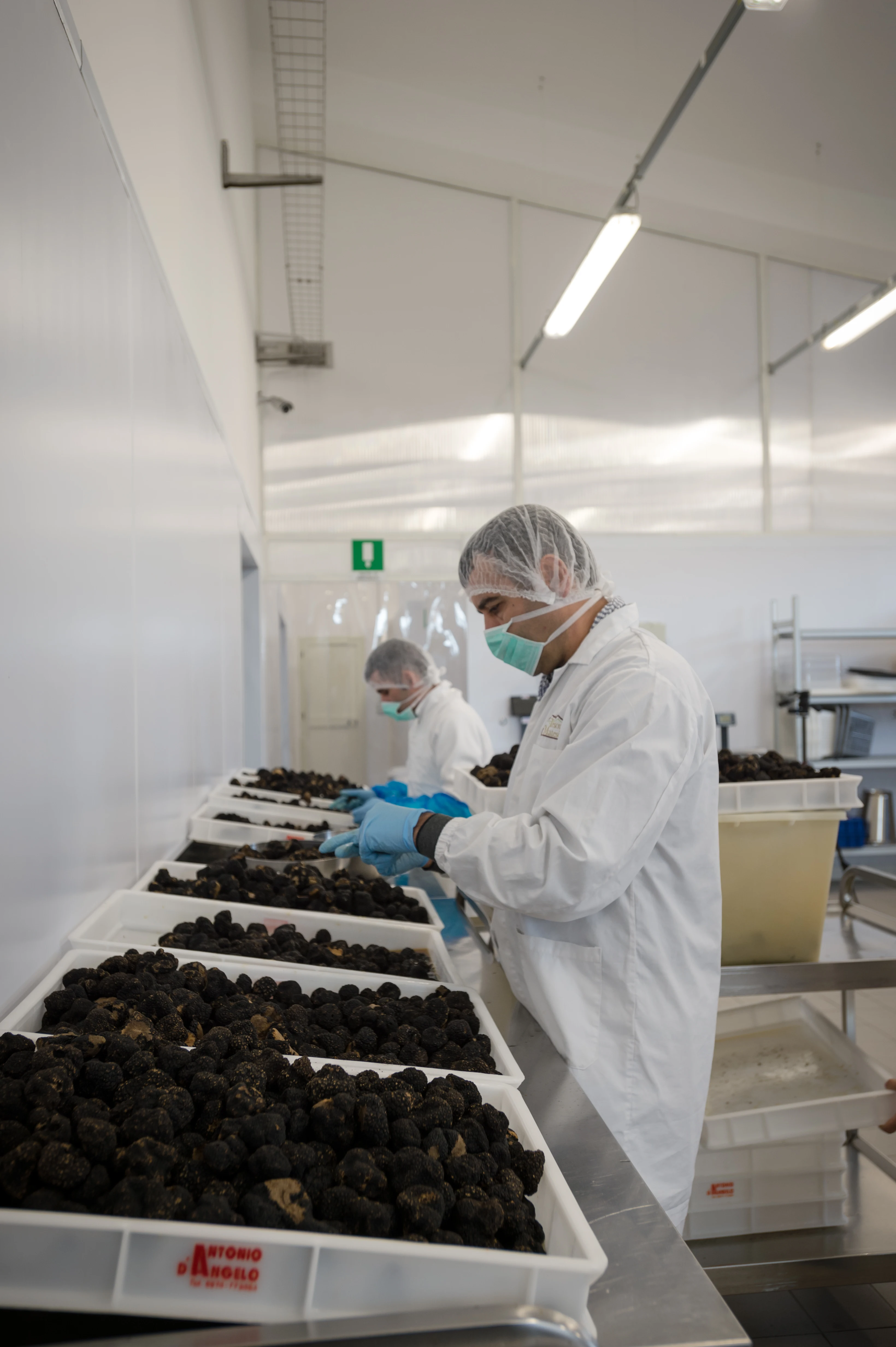 Wholesale Luxury Italian Tasty Refined Whole Summer Truffle 10 13g  Glass Jar perfect for High Quality PreparationT