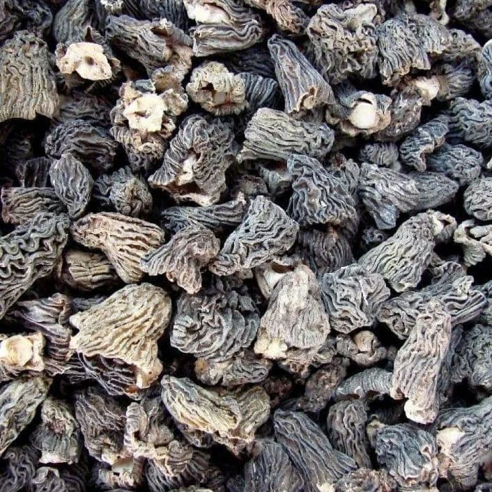 Dried Verpa bohemica First grade - best quality natural food.  Early morel or the wrinkled thimble-cap.