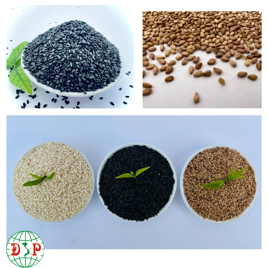 Natural Raw Black Sesame Seeds Agriculture Product Black Sesame From Vietnam Best Price