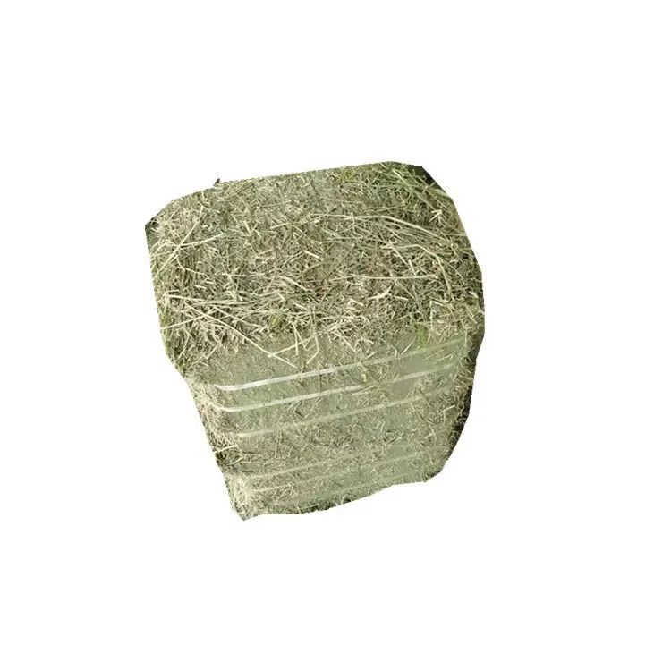 Wholesale Alfalfa Hay for Various Animals Wheat-based Dried Feed Grade for Fish Dog Pig Cattle Horse Camel Packaged Bags Bales