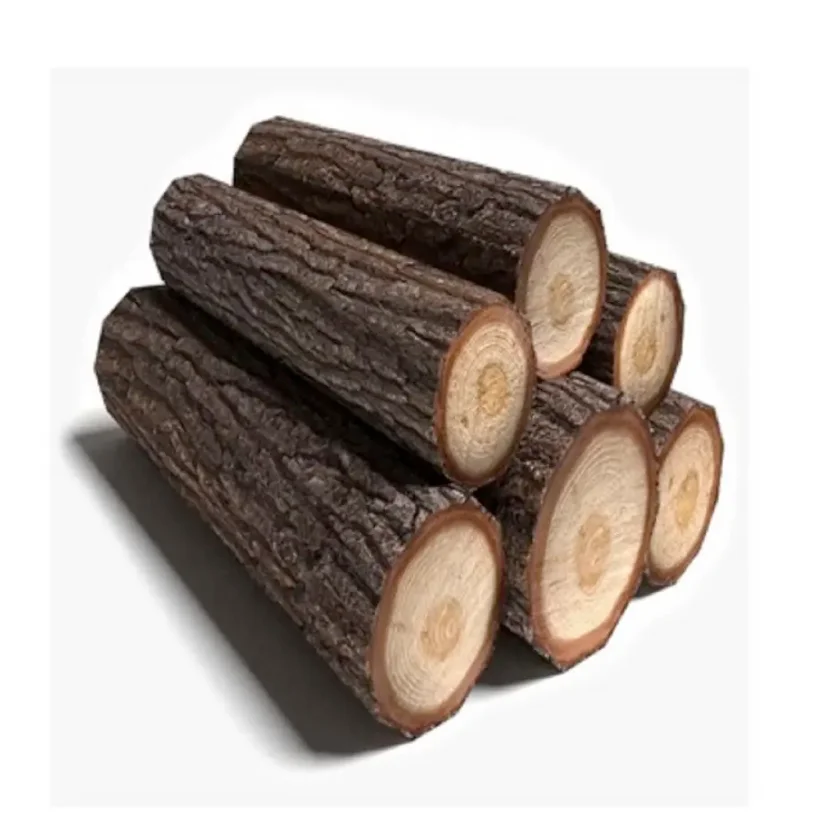 03333 (6).png