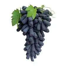 Fresh Moon Drop Grapes3.jpg