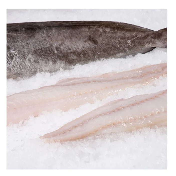 Lowest Price Frozen Whole Round Hake Fish Premium Quality Bulk Quantity For Exports From Europe
