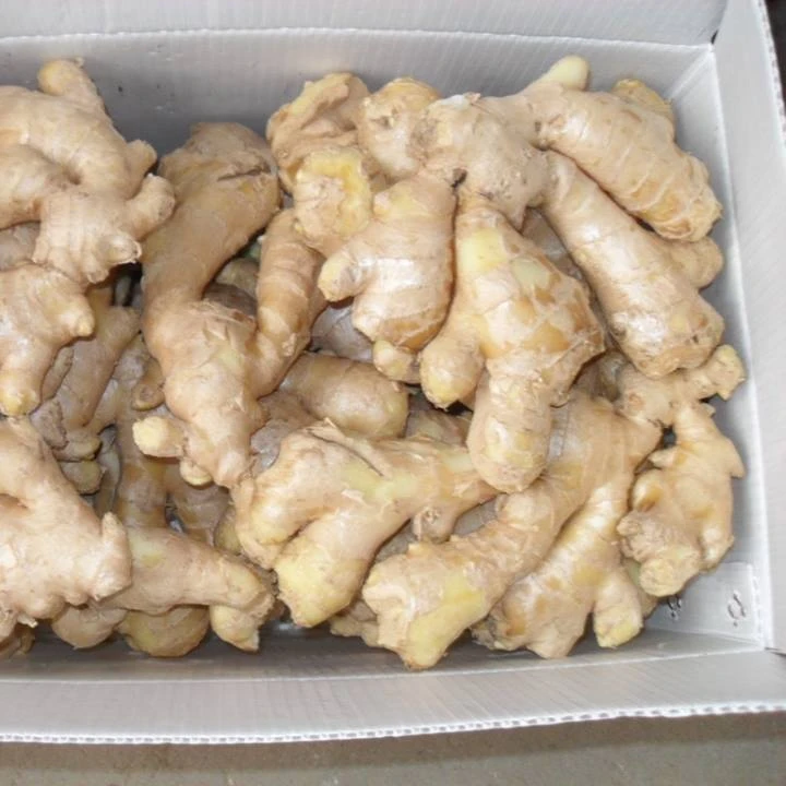 VIETNAM AIR DRY GINGER FOR WHOLESALE  CONTACT +84984418844 whatsapp