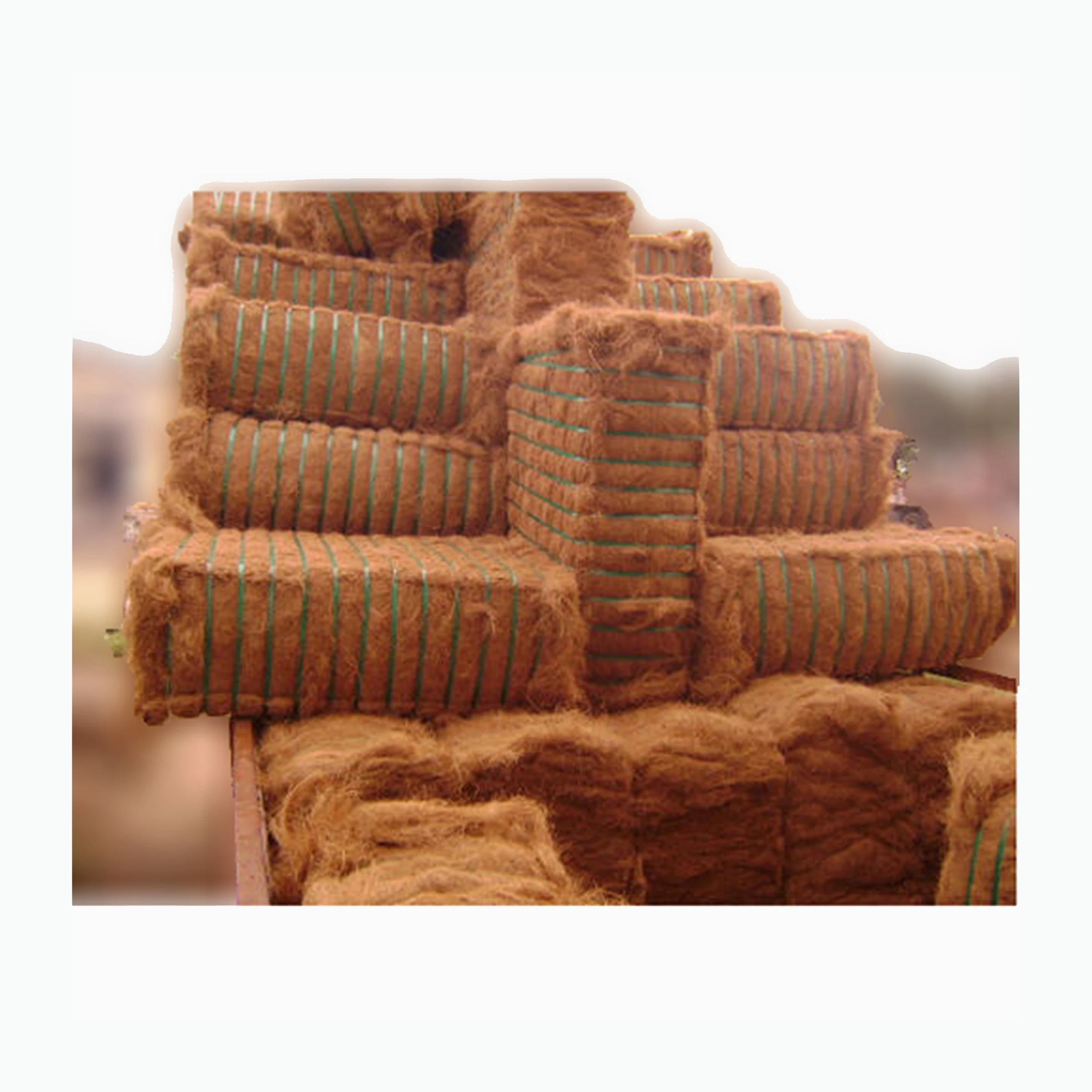 Лидер продаж, Органическое волокно с щетиной Coir, 100% натуральное органическое кокосовое волокно по разумной цене для широкого спектра