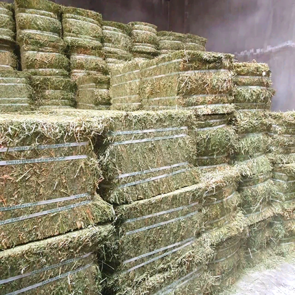 Good and Cheap alfalfa hay bays / Alfalfa pellets / Dehydrated Alfalfa cubes from Canada for sale