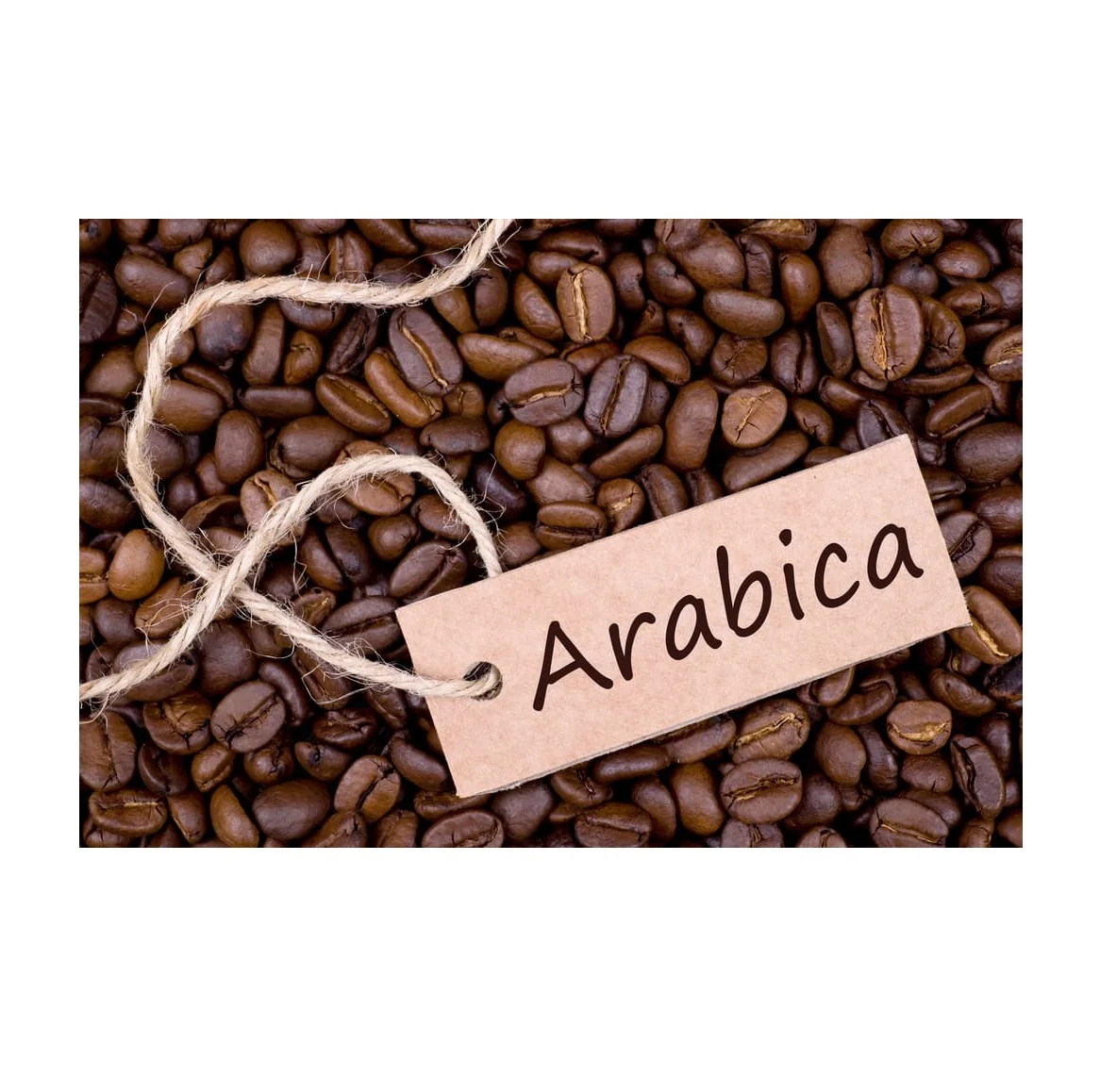 Hot selling Roasted Organic Arabica Coffee beans