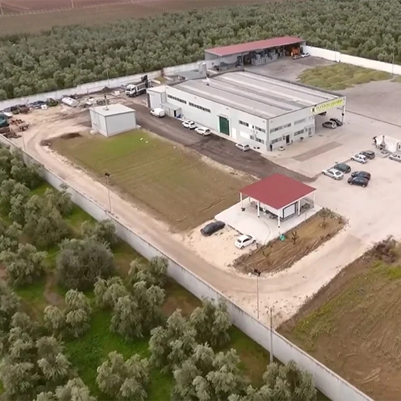 Wholesale premium Lemon Flavored Extra virgin olive oil  0,25LGlass bottle 100% Made in Italy for sale