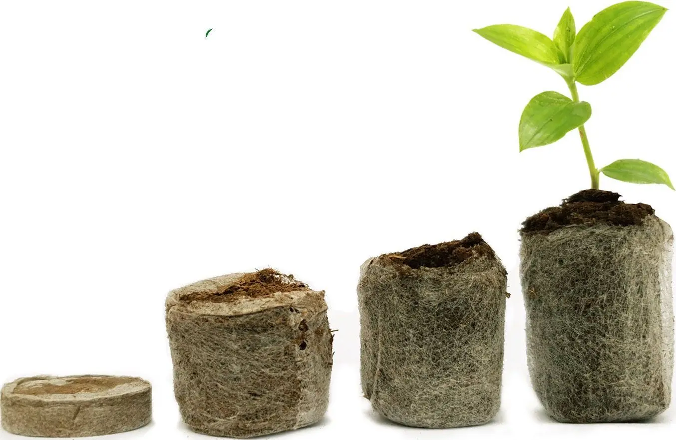 Вьетнамская Заводская партия 5 кг торфяные блоки для продажи (whatsapp 0084587176063 Sandy)