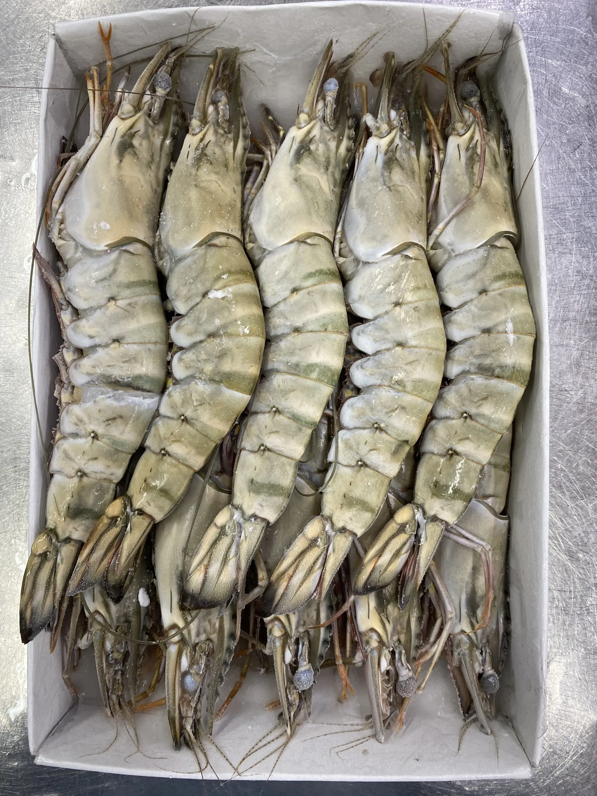 Черная Тигровая креветка HOSO SEMI IQF замороженная свежая головка на оболочке вес нетто отсчет индивидуальная упаковка для продажи