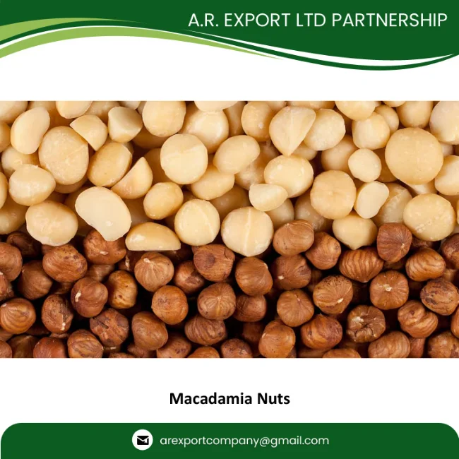 Macadamia Nuts, Roasted Macadamia, Organic Macadamia Nuts Available in Huge Quantity with Export Grade AA Packaging