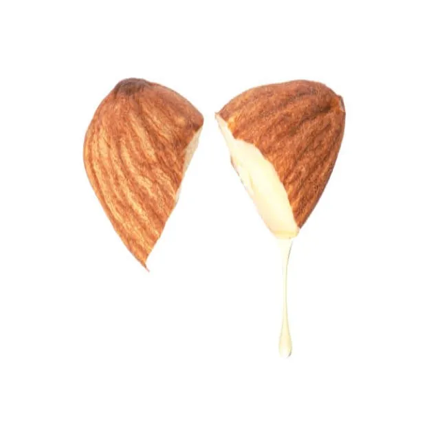 Manufacturer Onion Hair Oil Reduces Hair Fall Loss Smooth Split Ends With Vegan Natural Coconut Vitamin E Almond Oil