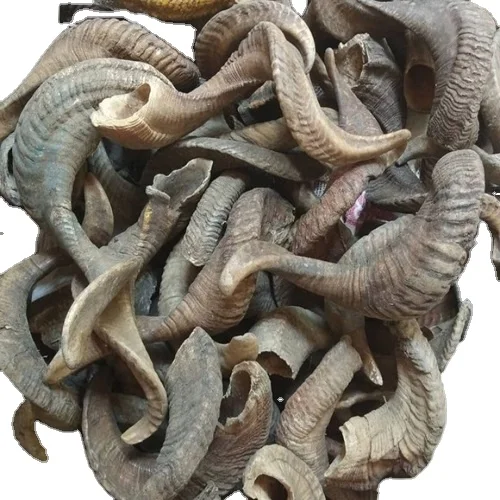 Ram Horn  Finished Ram Horn Raw Ram Horn Stocked From A Z Crafts