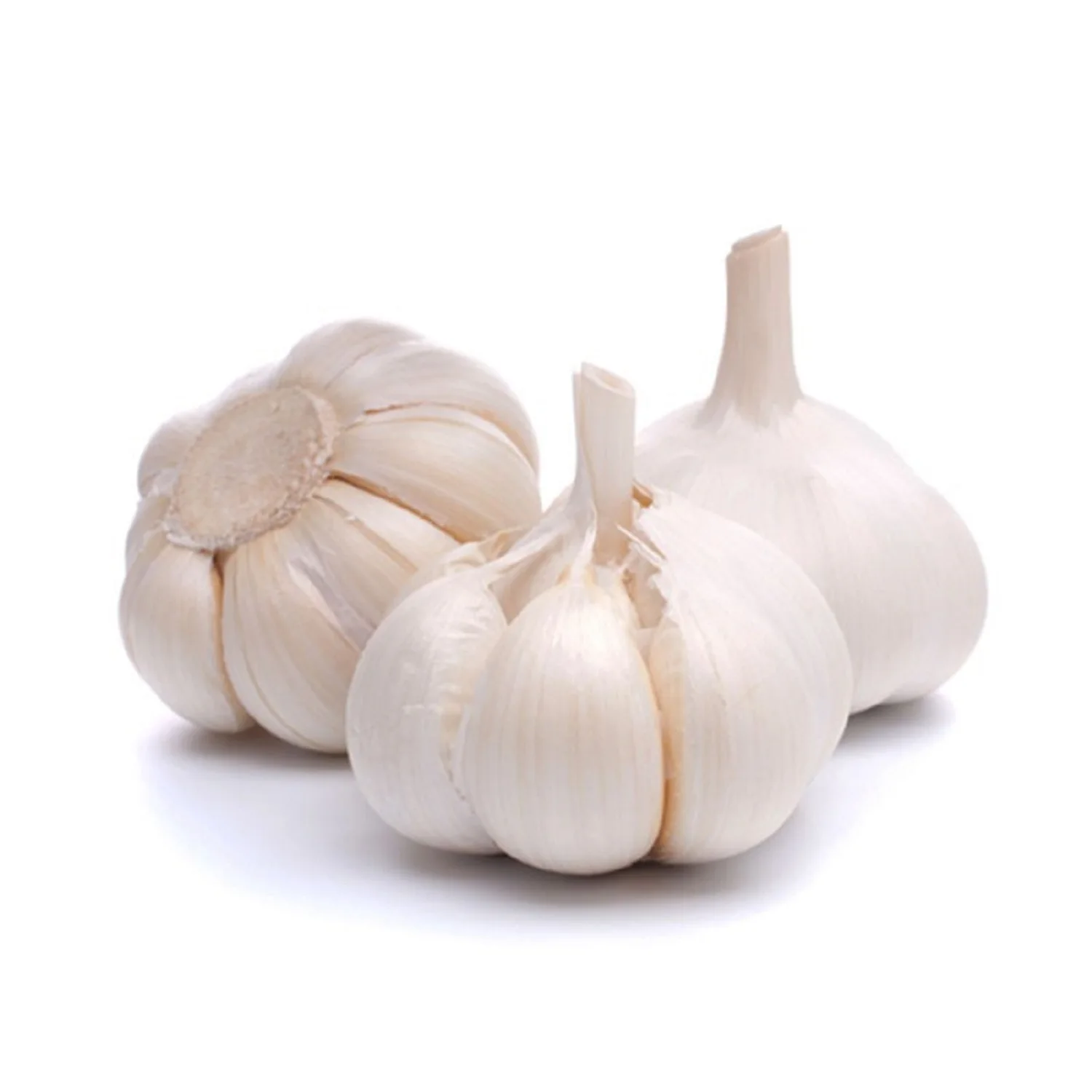 High Quality Fresh Pure White Garlic New Crop Snow White Garlic For Sale