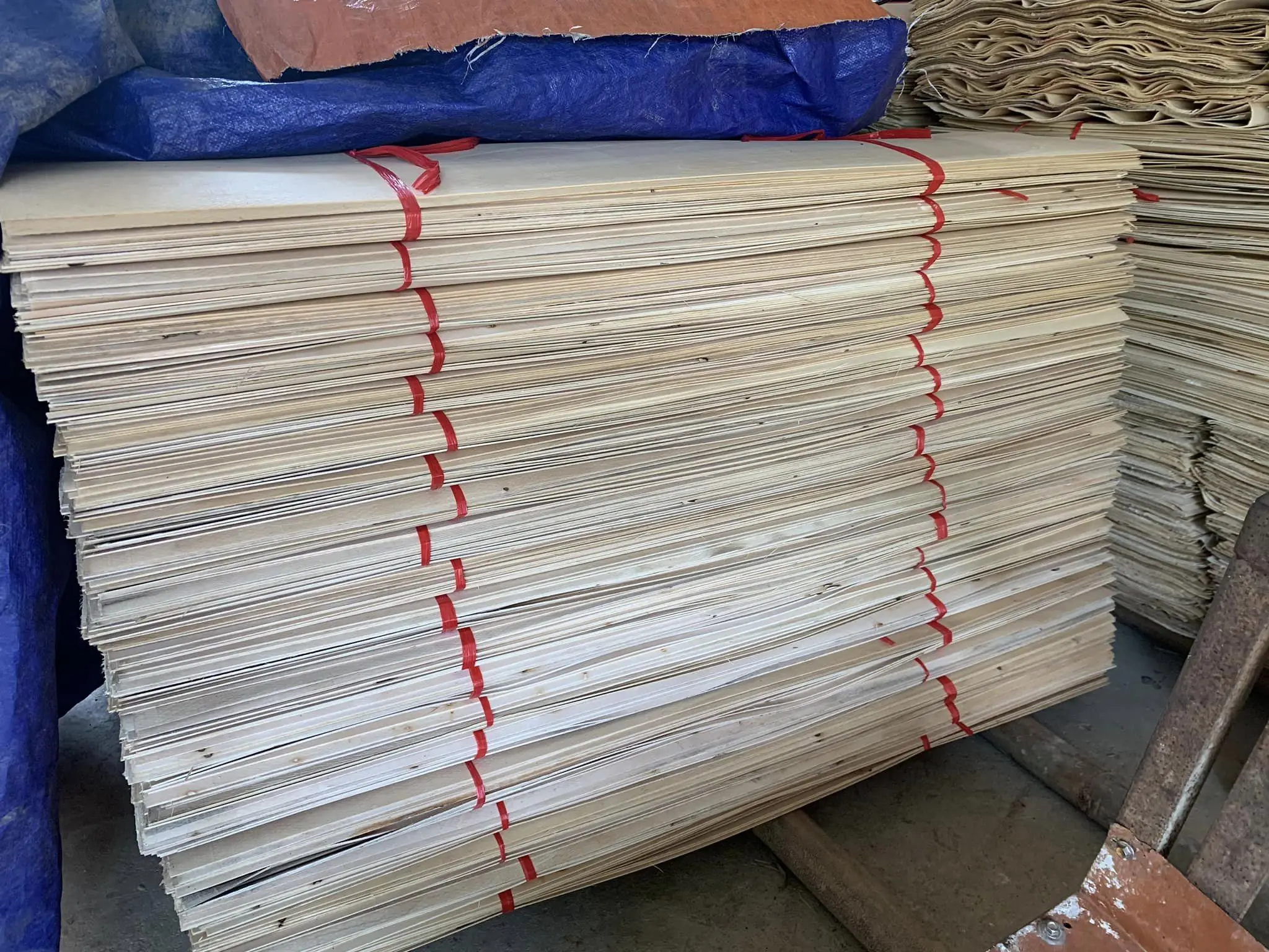 Wholesaler Acacia/eucalyptus/rubber Core Veneer A/B Quality  Best Price from Vietnam Plywood