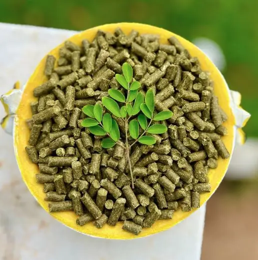 Whole Sale Suppliers and Exporters for Moringa Leaf Pellets Used as an Animal Feed Available with Good Quality Packing and Price