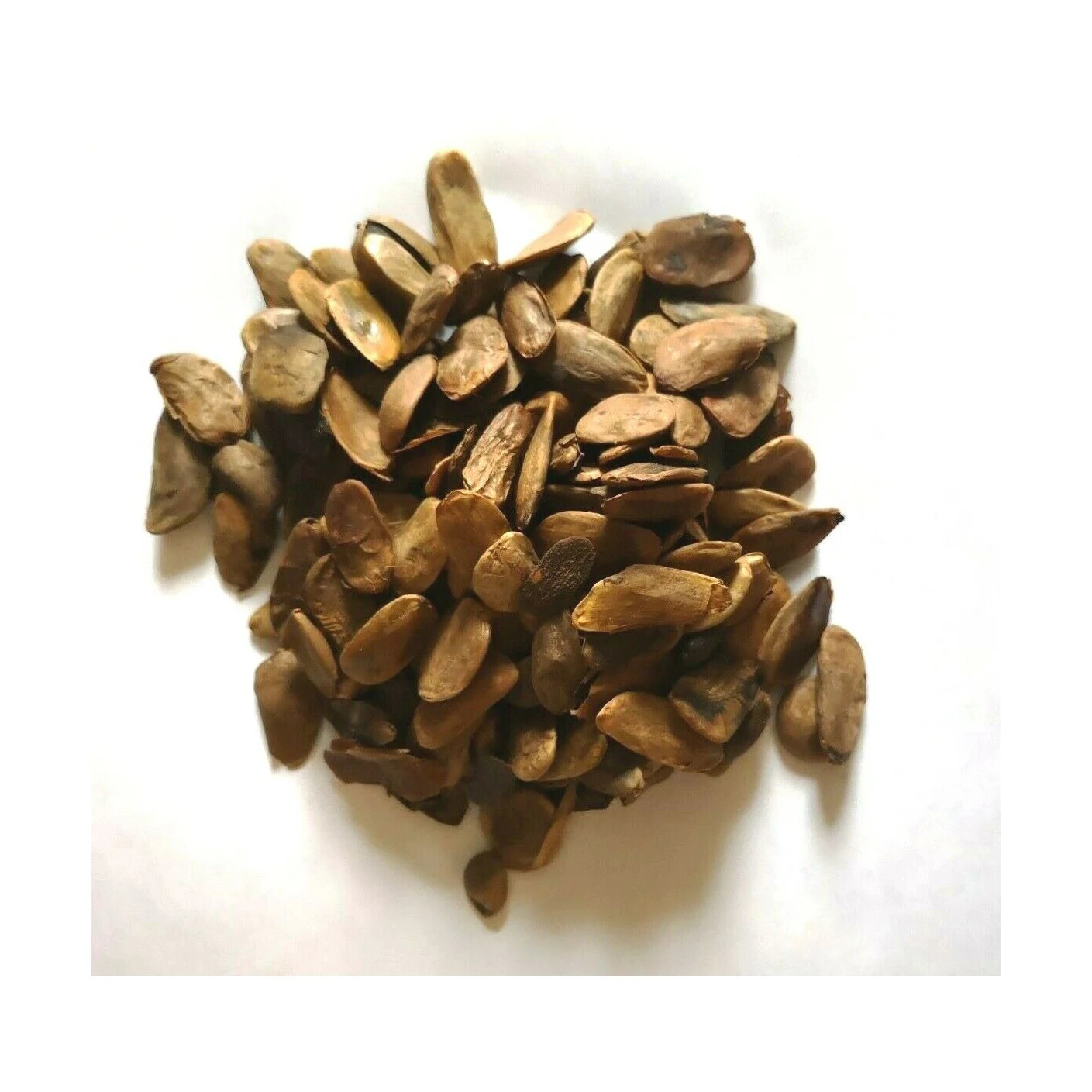 Best Price High Quality Picralima Nitida Akuamma Seed Extract Other Agriculture Products