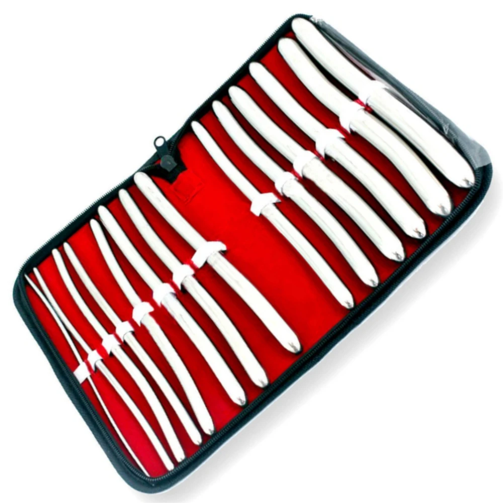 HEGAR SOUNDS DILATOR UTERINE URETHRAL DIAGNOSTIC GYNECOLOGY DOUBLE ENDED 14 PIECES SET SURGICAL KIT       MGI-226