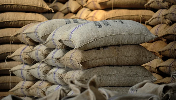 Pure Organic Single Spices Seasoning fennel seed and cumin seeds High Quality Nature Cumin Seeds  Agrowell Turkish Goods