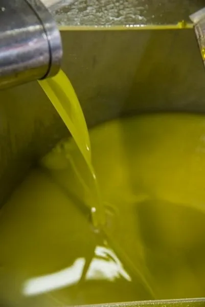 Extra virgin olive oil Made in Italy 100% Italian olives classic taste 1 liter in can