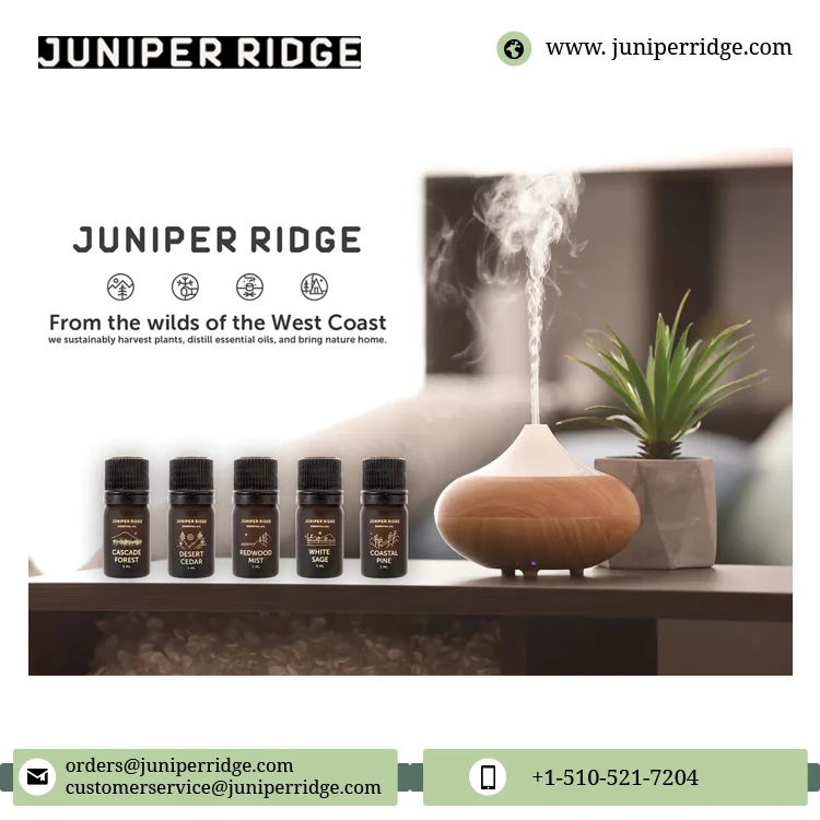 100% Pure and Organic Sticky Pine Scent Note Aromatherapy Coastal Pine Essential Oil -  5 ml from USA