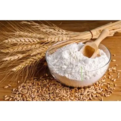 White Flour for all purpose wheat flour in 25kg 50kg bags for sale price, cheap wheat