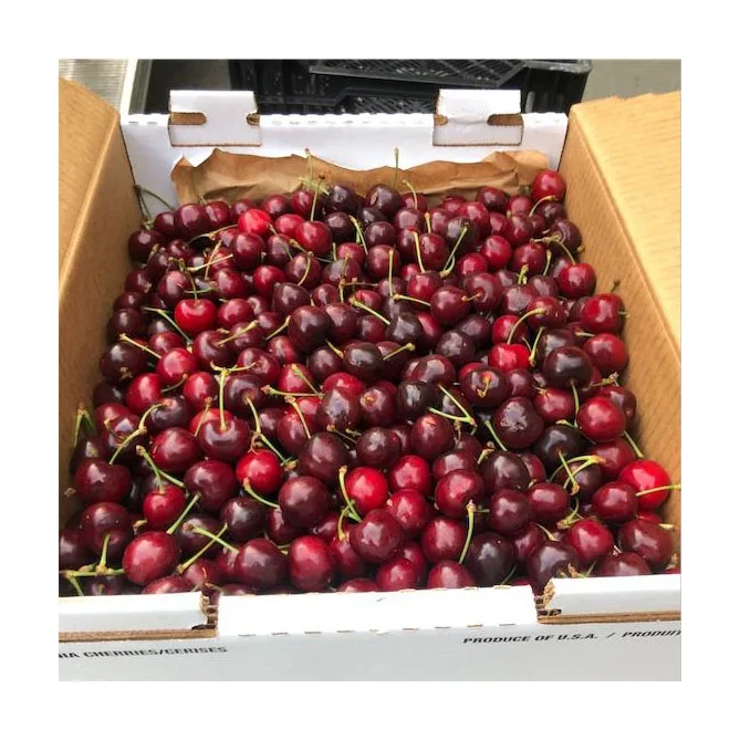 Cherries / Quality Natural Taste Red Farm Fresh Cherries / LUXURIOUS FRESH SWEET CHERRIES
