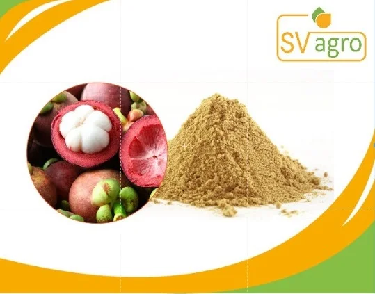 Antioxidant Rich Natural Health Support Premium Mangosteen Extract Powder for Sale in Bulk from Indian Supplier