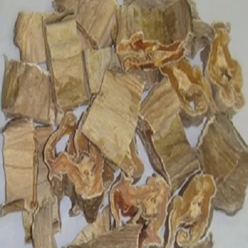 Dry Stock Fish / Dry Stock Fish Head / Dried Salted Cod