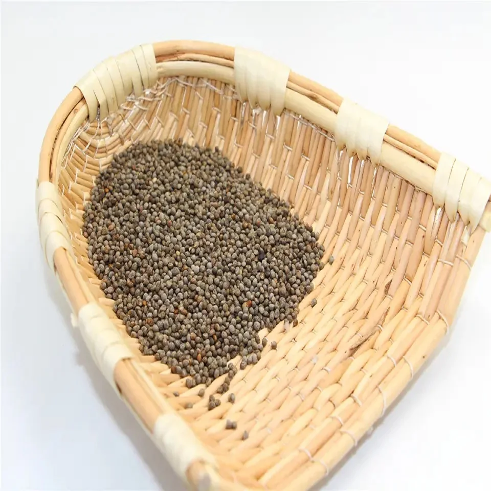 Best Quality Perilla Seed for Sale